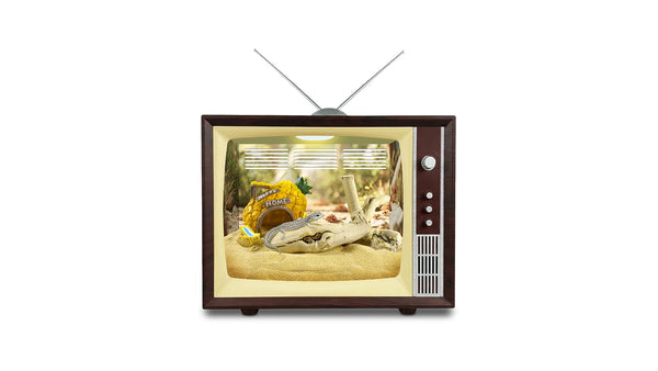 Reptile TV Show Box